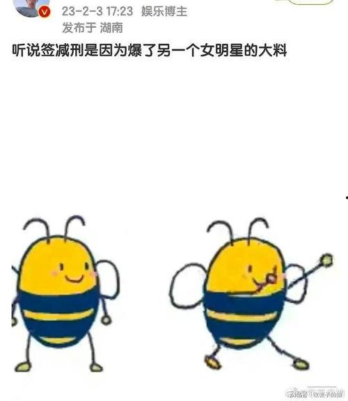 蜜蜂吃瓜娱乐,揭秘甜蜜背后的趣味世界