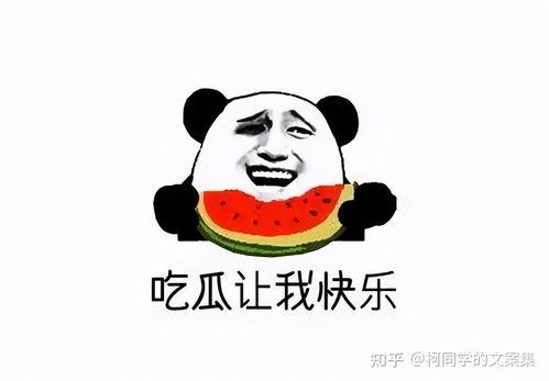 吐槽娱乐吃瓜的文案